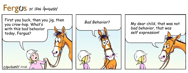 horse misbehaving, horse bucking, girthiness, poorly fitting saddle, jochen schleese, Saddlefit 4 Life, Saddle Fitting, equien ergonomist,  Unwanted behaviour may be caused by a poorly fitting saddle