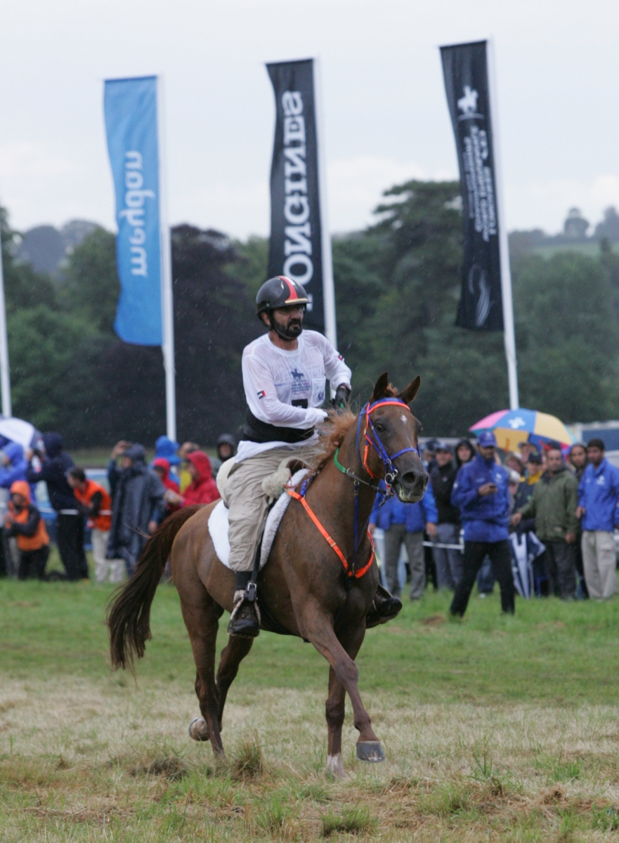 Sheikh Mohammed horse drug