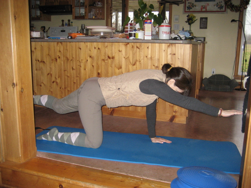 horse rider fitness for mature riders, Heather Sansom, Elroy Karius,  adult horse rider fitness