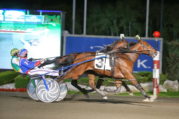 ec awards gala, equine canada awards, equestrian of the year, lauren barwick, junior equestrian of the year, canadian breeder of the year, canadian bred horse of the year, equine health and welfare award, ec coach of the year