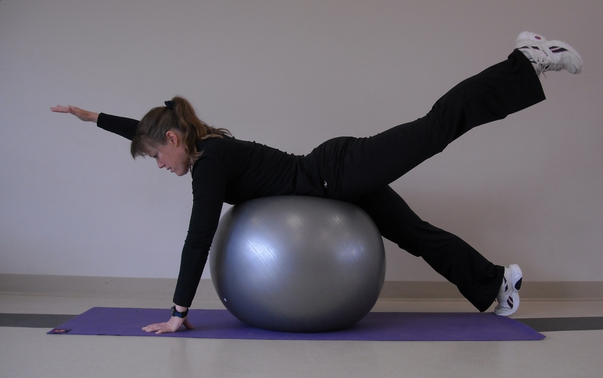 Horse rider back support, horse rider fitness, horse rider daily exercises, horse rider upper body strength