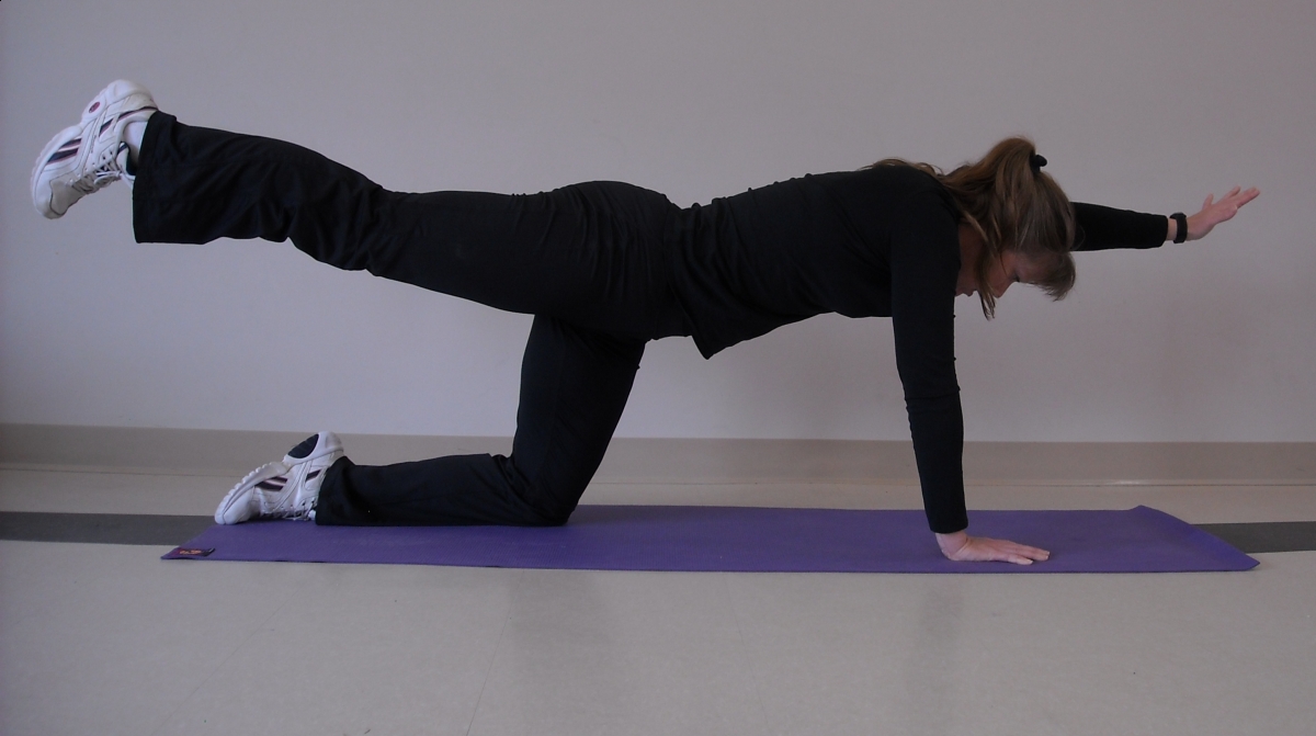 Horse rider back support, horse rider fitness, horse rider daily exercises, horse rider upper body strength