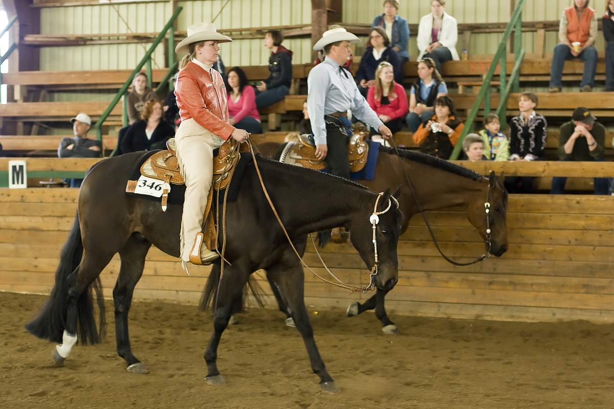 Associations Changing Rules to Promote Horse Welfare