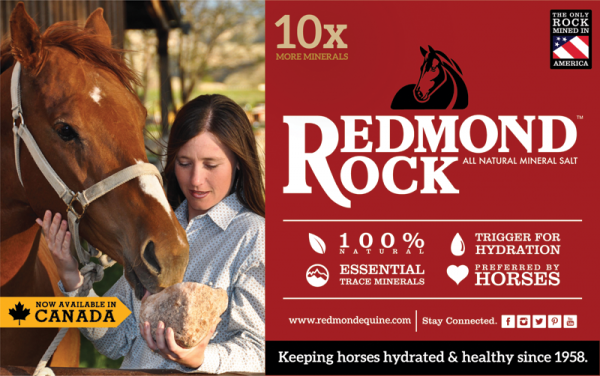 equine business, horse business, equine ad design, horse ad design, herbs for horses, redmond rock, we cover, gardner fence, canadian horse journal, horsejournals.com, andis horse clippers