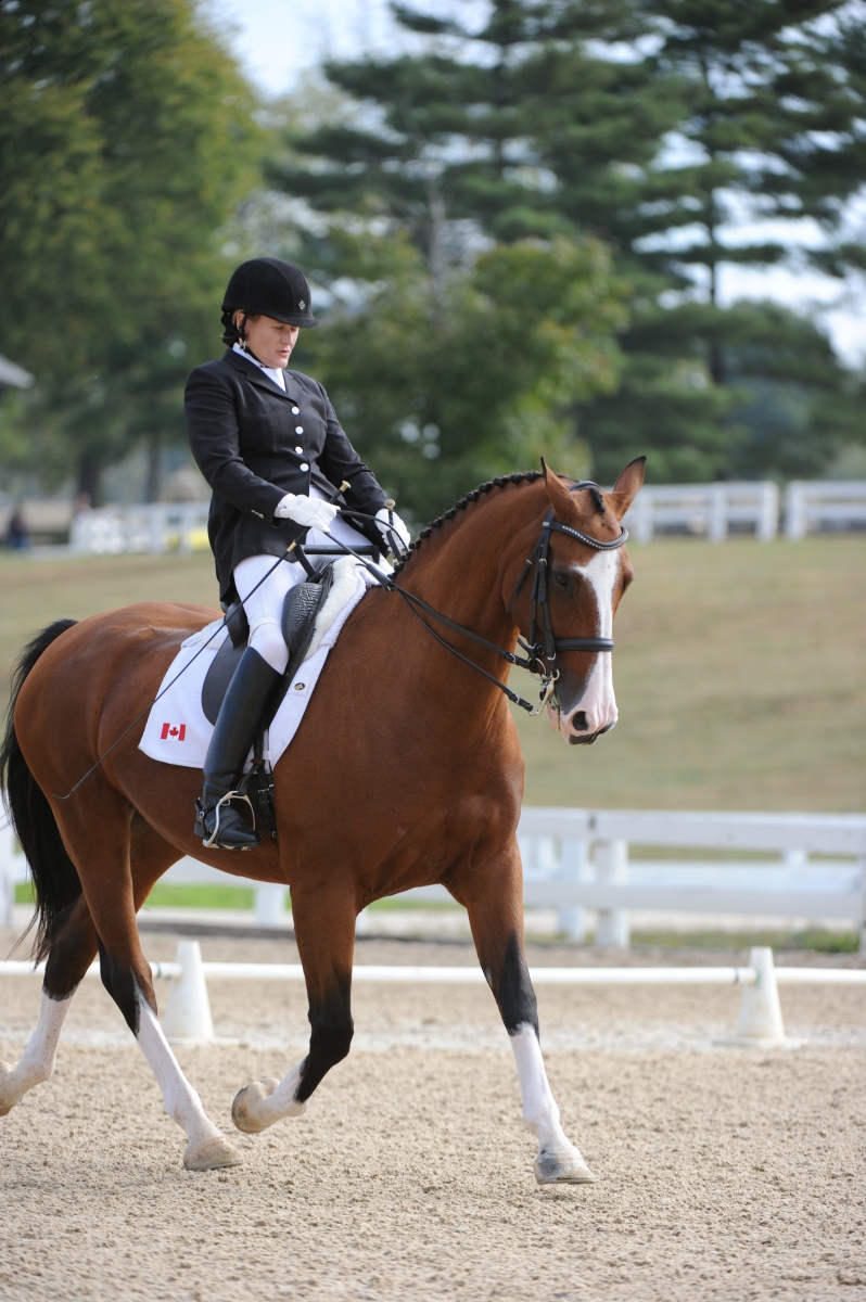 Rider Health Rider Fitness