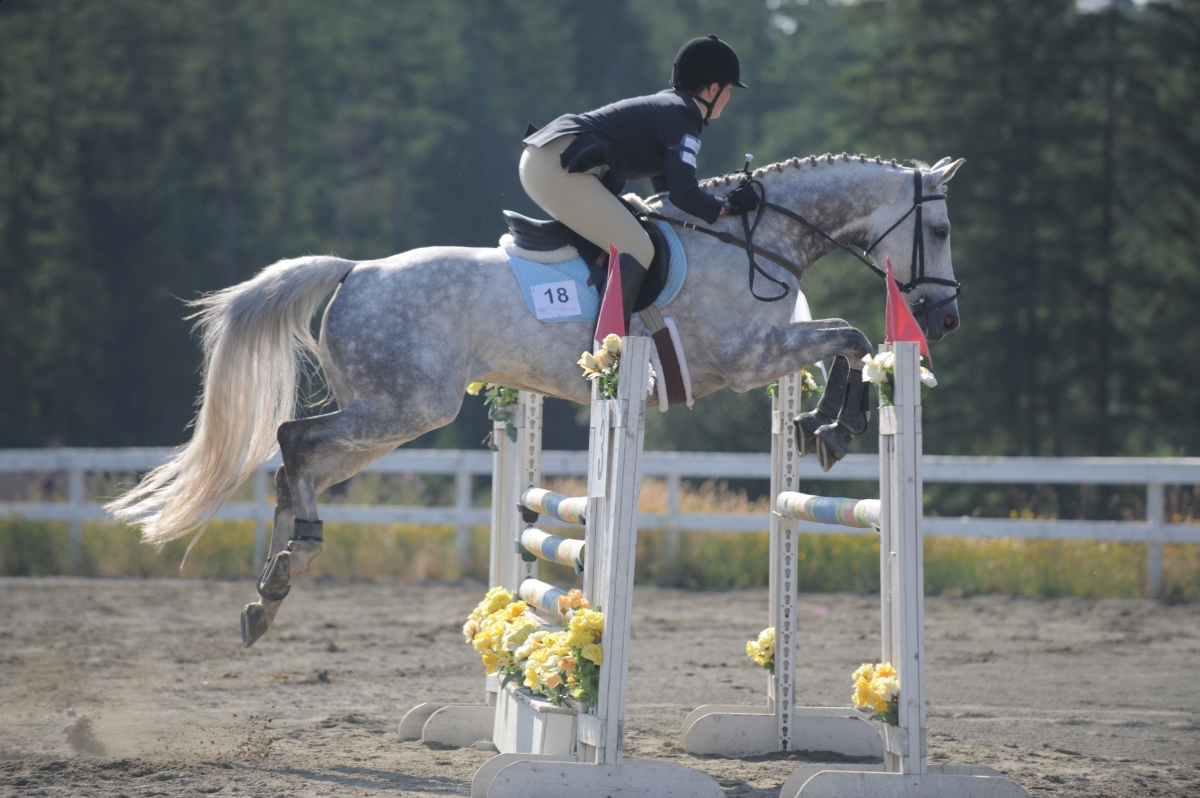 karen L. Weslowski, equine waivers, equine liability agreements, Unambiguous Waiver Risk Hazard, 