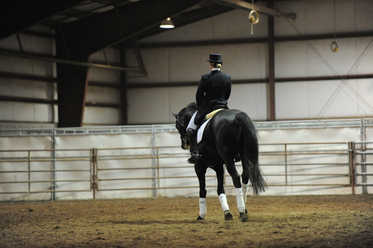 Horse rider back support, horse rider fitness, horse rider daily exercises, horse rider upper body strength