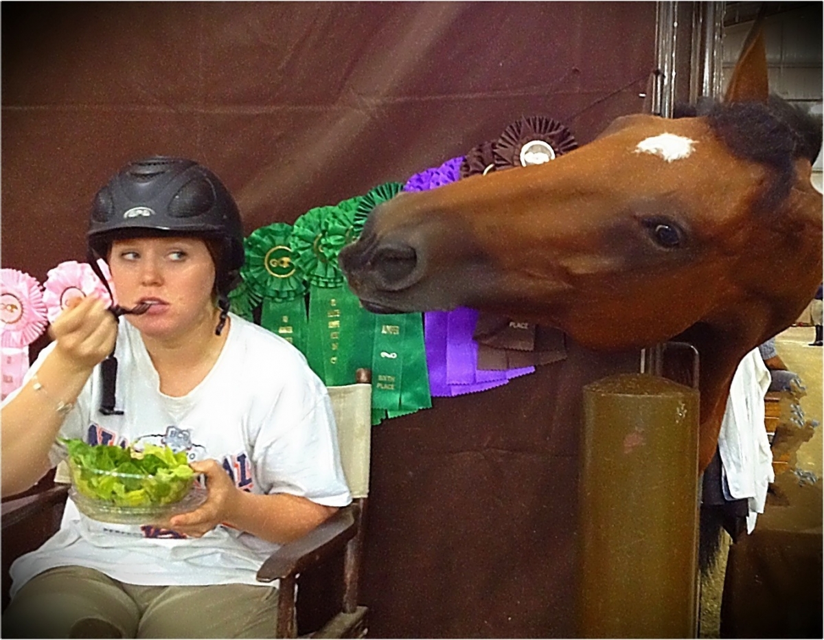 horse safety, horse helmet, riding helmet, riding safety, why wear horse helmet