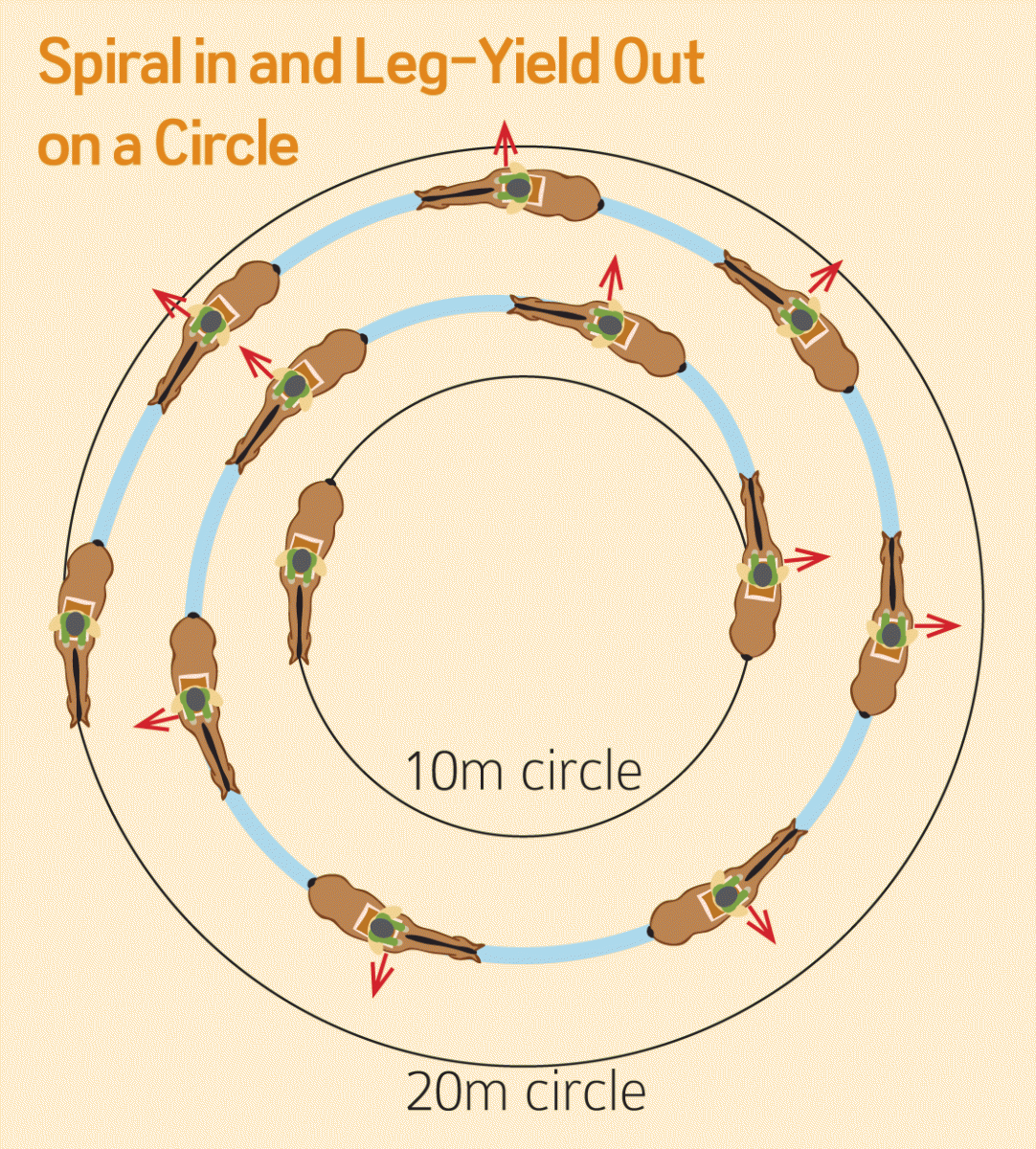 starting out right horse foot, nancy tapley, horse warm-up, Karen brain, horse riding technique, horse training, Shannon Dueck, horse leg yield, equine leg yield, horse leg yield circle, hunter jumper exercises, Leg-Yielding Out Circle