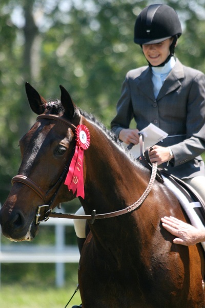 rescue horse, equine welfare, whispering hearts horse rescue, ospca, ontario standardbred adoption, osas, equine guelph, equine science rescue horse, equine welfare, whispering hearts horse rescue, ospca, ontario standardbred adoption, osas, equine guelph, equine science