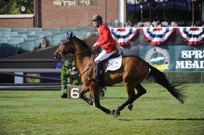 ian millar star power death ian millar horse died, team millar facebook ian millar star power death ian millar horse died, team millar facebook