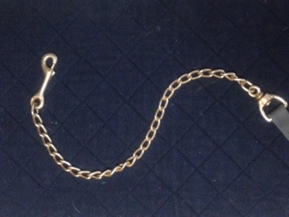 horse chain, horse abuse, hiaa, horse industry association of alberta, chaining a horse