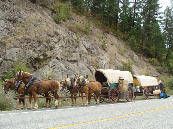Pierre Cloutier, horse ride across canada, Traversée du Canada chevalz Pierre Cloutier, horse ride across canada, Traversée du Canada chevalz