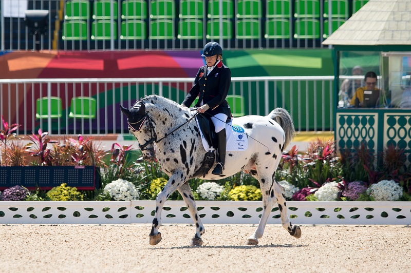 Rio 2016 Paralympics, olympic equestrian centre deodoro, dressage great britain equestrian, sphie christansen, anne dunam, natasha baker, sophie wells