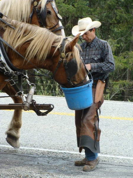 Pierre Cloutier, horse ride across canada, Traversée du Canada chevalz Pierre Cloutier, horse ride across canada, Traversée du Canada chevalz