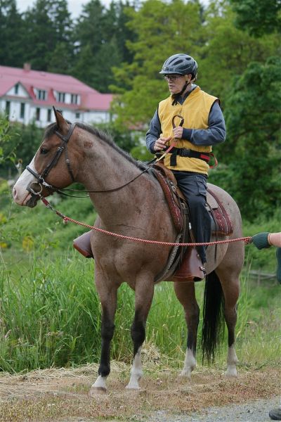 Cowichan Therapeutic Riding Association, CTRA, CTRA 30 years, disabled riding bc, riding for the disabled, therapeutic riding, horse therapy, horses for disabled Cowichan Therapeutic Riding Association, CTRA, CTRA 30 years, disabled riding bc, riding for the disabled, therapeutic riding, horse therapy, horses for disabled