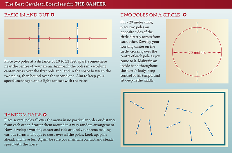cavaletti walk, cavaletti canter, cavaletti trot, jec aristotle ballou, cavalletti exercises, horse cavalletti, training a horse, horse gait, equine gait, equine conditioning a horse