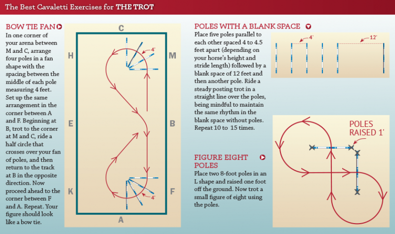 cavaletti walk, cavaletti canter, cavaletti trot, jec aristotle ballou, cavalletti exercises, horse cavalletti, training a horse, horse gait, equine gait, equine conditioning a horse