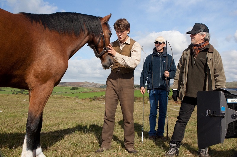 horses in the war, remembering war horses, steven spielberg horse, horses in history, world war horse