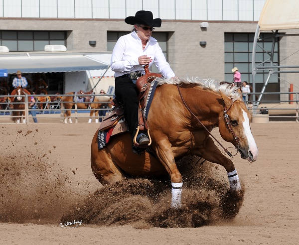 Cactus Reining Classic, Horse Show Global, westworld reining, arizona reining, NRHA Show of the Year, Shane Brown NRHA Open, Martin Padilla, He’s Smart With A Gun, Mark Blake Plum Gotta Gun, Jennifer Greenleaf