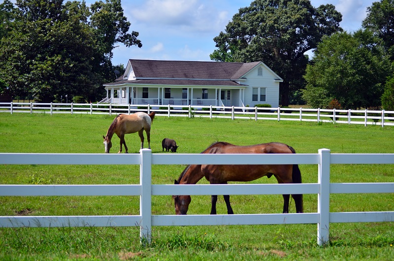 building a horse fence, equine fence, fencing equestrian property, fencing acreage, how to build a fence for horses
