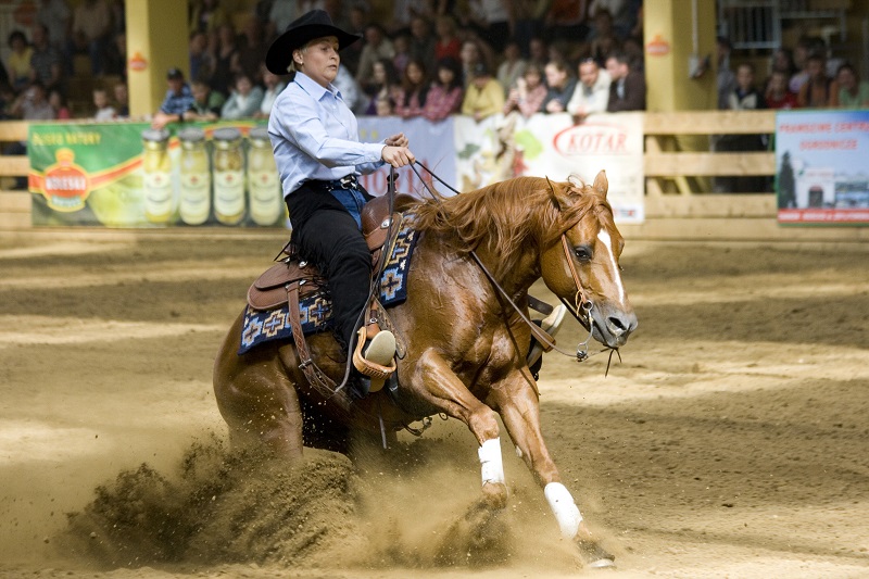 indoor riding arena, outdoor riding arena, indoor arena footing outdoor, conterra industries, lakeshore sand co, sand footing, woodchip footing