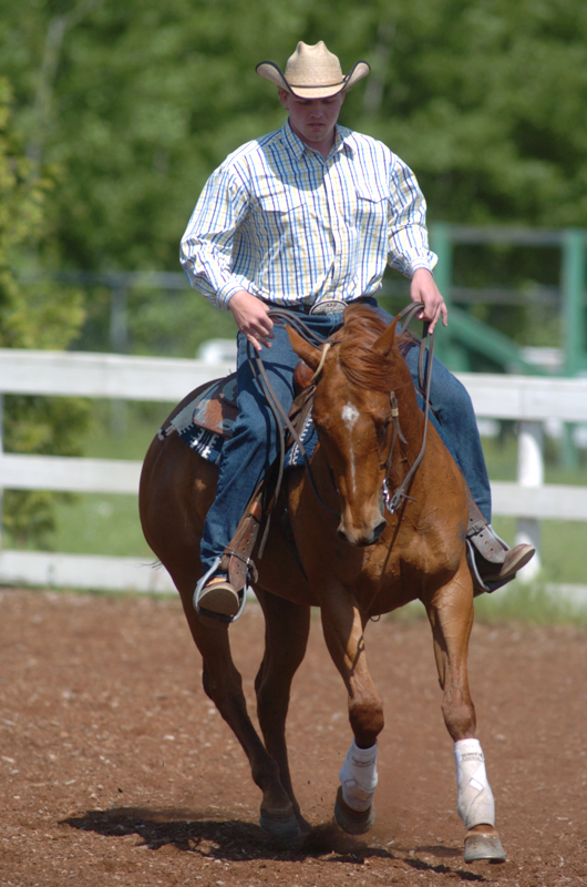 lori k. warren, fit horse, horse fitness, horse conditioning, horse schooling, equine conditioning, equine schooling, equine fitness, fit equine, equine interval, equine gymnastics, horse gymnastics, horse strength, equine strength lori k. warren, fit horse, horse fitness, horse conditioning, horse schooling, equine conditioning, equine schooling, equine fitness, fit equine, equine interval, equine gymnastics, horse gymnastics, horse strength, equine strength