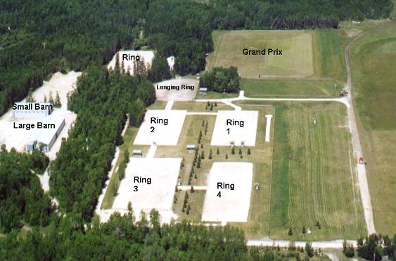 manitoba horse council, mhc, horses manitoba equine