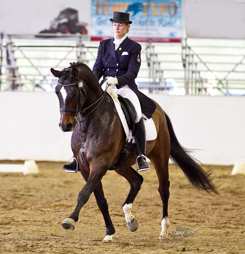 Karen Pavicic, Impulsion in horses, Cavaletti, horse training, riding horse forward, dressage, power dressage, fei trainer, engage hind in horses Karen Pavicic, Impulsion in horses, Cavaletti, horse training, riding horse forward, dressage, power dressage, fei trainer, engage hind in horses