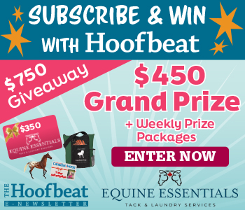Freedom From Flies with Equiwinner
