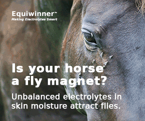Freedom From Flies with Equiwinner