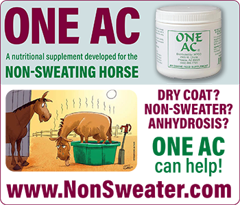 One AC — for the non-sweating horse