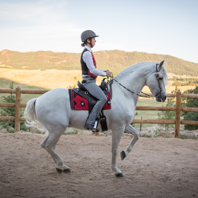 Western Dressage, Elaine Ward, Margaret Evans, Western Style Dressage Association of Canada, WSDAC, Jec A. Ballou, Elaine Ward, Trish Hyatt, dressage, new equestrian sport