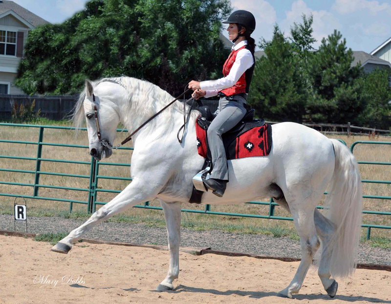 Western Dressage, Elaine Ward, Margaret Evans, Western Style Dressage Association of Canada, WSDAC, Jec A. Ballou, Elaine Ward, Trish Hyatt, dressage, new equestrian sport