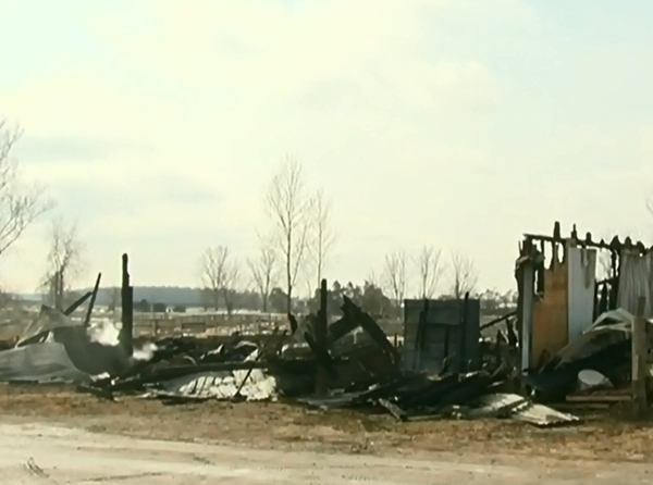 ontario barn fire, darkin riding stables, otterville barn fire, classy lane stables, arabian horse fire, loranda stables kitty cottage ontario barn fire, darkin riding stables, otterville barn fire, classy lane stables, arabian horse fire, loranda stables kitty cottage