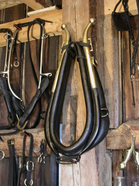 horse-drawn vehicle quebec jutras horse bugges, horse carriages, horse sleighs, horse driving, equine driving