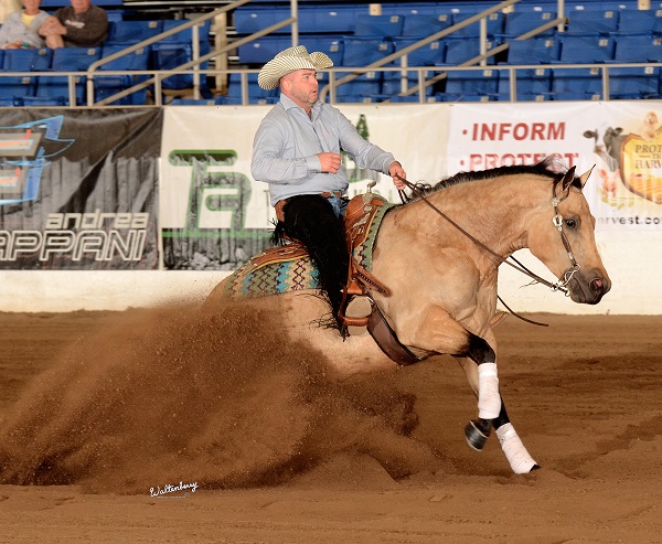 Cactus Reining Classic, Horse Show Global, westworld reining, arizona reining, NRHA Show of the Year, Shane Brown NRHA Open, Martin Padilla, He’s Smart With A Gun, Mark Blake Plum Gotta Gun, Jennifer Greenleaf