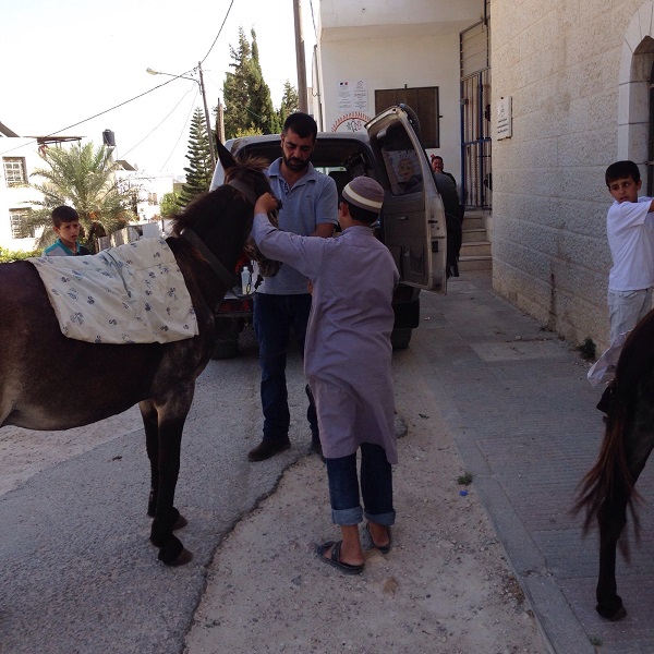 donkey sanctuary, haven for donkeys, donkeys 3rd world, donkeys in need, animal sanctuary, donate for Christmas