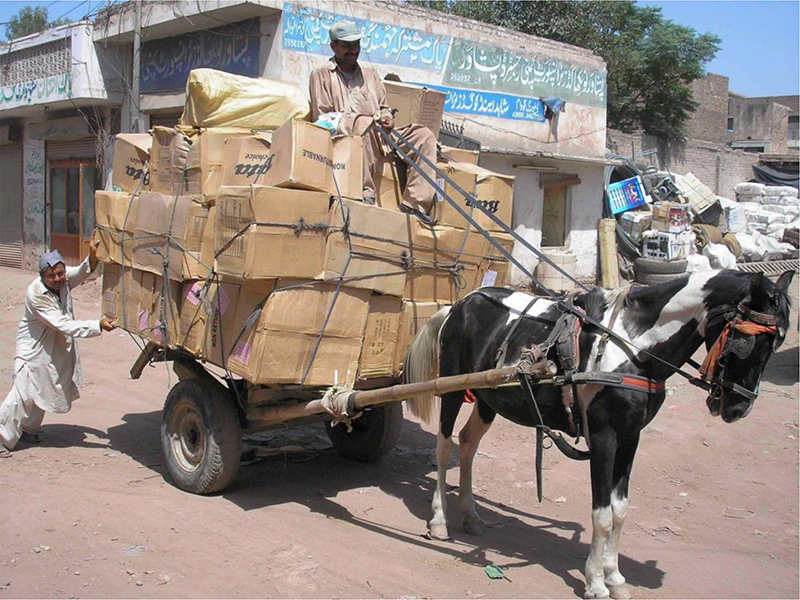 Brooke USA equine welfare horse welfare World War One Horses