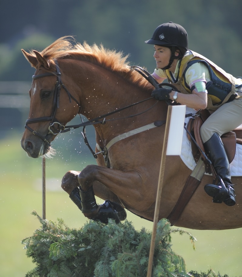 horse jumping with impulsion