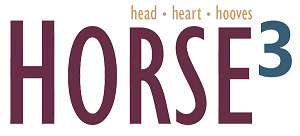 Horse3: Head-Heart-Hooves Manitoba Keystone Centre Westoba Ag Centre Brandon, NAERIC Trainer’s Challenge Colt Starting Renee Gareau, Rod Olsen Cain Quam