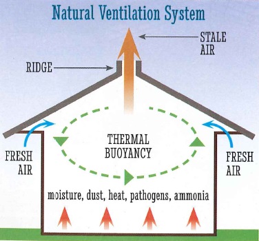 De-icing water buckets for horses,  assess your horse barn’s structural integrity, dust control in horse barn, mud management for horses, ventilation for horse paddocks and barns, heated horse tack room