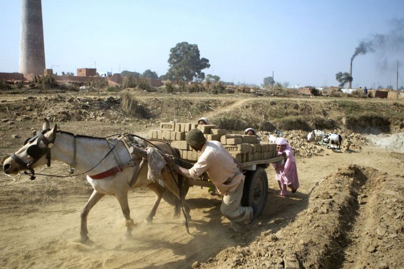 brooke usa, brooke for animals, donkeys third world, horses third world, equine welfare standards, world organization for animal health horse standards, oie