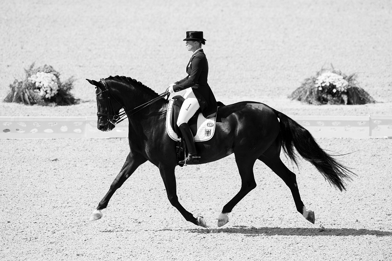 Charlotte Dujardin Olympic Dressage Grand Prix Freestyle Deodoro Olympic Park Isabell WerthKristina Broring-Sprehe Patrick Kittel Carl Hester Charlotte Dujardin Laura Graves Charlotte Dujardin Olympic Dressage Grand Prix Freestyle Deodoro Olympic Park Isabell WerthKristina Broring-Sprehe Patrick Kittel Carl Hester Charlotte Dujardin Laura Graves