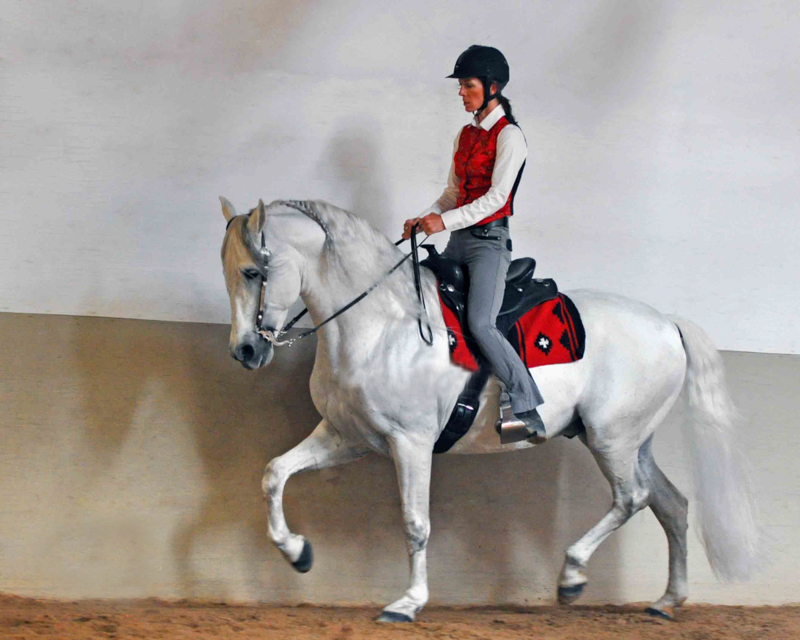 Western Dressage, Elaine Ward, Margaret Evans, Western Style Dressage Association of Canada, WSDAC, Jec A. Ballou, Elaine Ward, Trish Hyatt, dressage, new equestrian sport