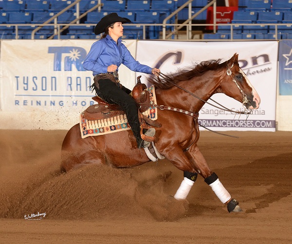 Cactus Reining Classic, Horse Show Global, westworld reining, arizona reining, NRHA Show of the Year, Shane Brown NRHA Open, Martin Padilla, He’s Smart With A Gun, Mark Blake Plum Gotta Gun, Jennifer Greenleaf