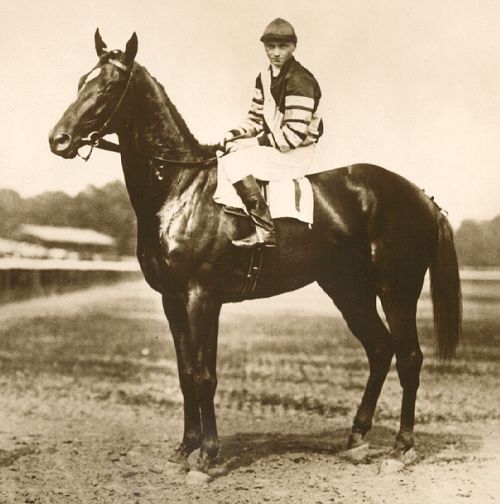 Kentucky Horse Park Man o’ War 100th birthday exhibit