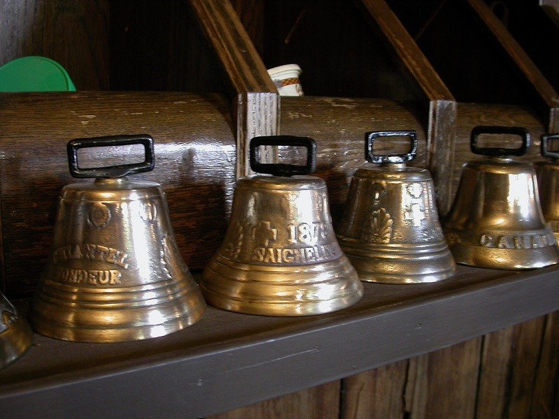 horse-drawn vehicle quebec jutras horse bugges, horse carriages, horse sleighs, horse driving, equine driving