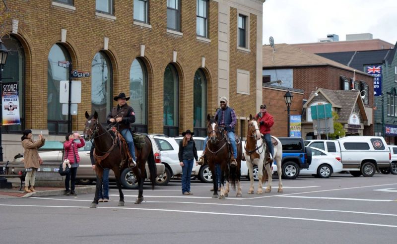 horse Ride Across Canada canadian Forces veterans ride paul nichols terry nichols pen y bryn farm equine facility veterans horse community fundraiser remembrance day horse