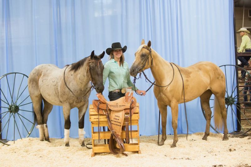 Horse3: Head-Heart-Hooves Manitoba Keystone Centre Westoba Ag Centre Brandon, NAERIC Trainer’s Challenge Colt Starting Renee Gareau, Rod Olsen Cain Quam